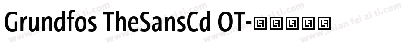 Grundfos TheSansCd OT字体转换